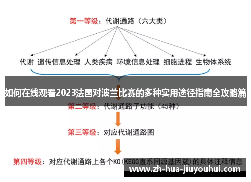 如何在线观看2023法国对波兰比赛的多种实用途径指南全攻略篇 如何在线观看2023法国对波兰比赛的多种实用途径指南全攻略篇